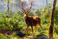 rosa-bonheur-cerf.jpg