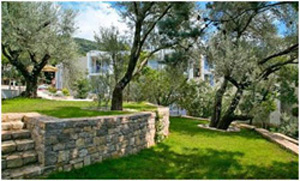 Montenegro-2027-hotel-1.jpg