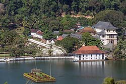Sri-Lanka-2023-jour-5-2.jpg